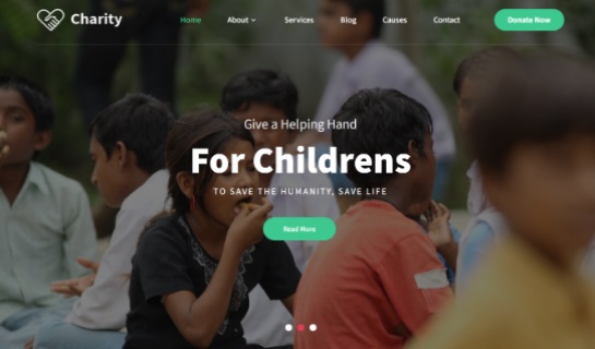 NGO WordPress Theme
