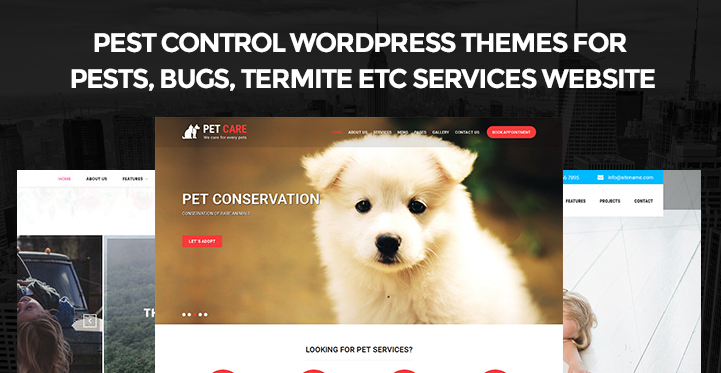7 Best Pest Control WordPress Themes for Termite Services Website